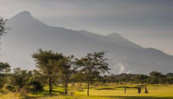 7 Days Pure Migration Tour