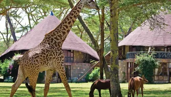 10 Days Kenya Family Expedition Tour