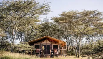 12 Days Sanctuary Wilderness Tour