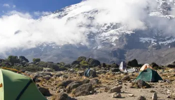 12 Days Kilimanjaro Trek - Safari Tour