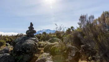 8 Days Machame Route Tour