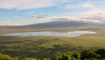 Day Trip To Ngorongoro Crater From Arusha