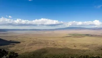 1 Day Tour To Ngorongoro Crater
