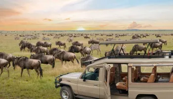 16 Days Tanzania Wild Wonders And Zanzibar Adventure Tour