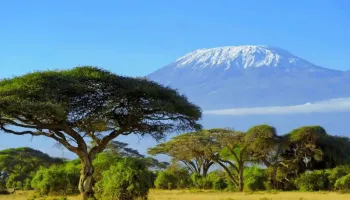 10 Days Machame Route - 8 Days Hiking Tour