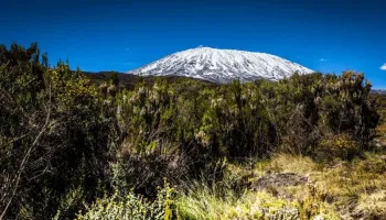 8 Days Marangu Route - 6 Days Hiking Tour