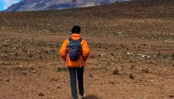 8 Days Kilimanjaro - Lemosho Route Tour