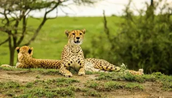 12 Days Camping And Beach Holiday Tour