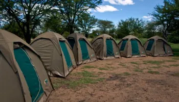 3 Days Tanzania Camping Safari Joining Groups Tour