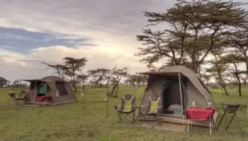 4 Day - 3 Nights Camping Group Safari Tour