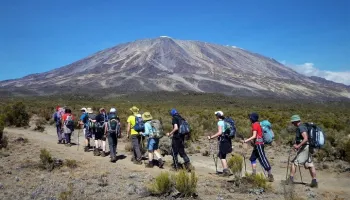 8 Days - Machame Route Tour