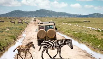 8 Days Northern Circuit Classic Tour