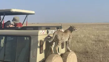 20 Nights Tanzania Adventure Tour