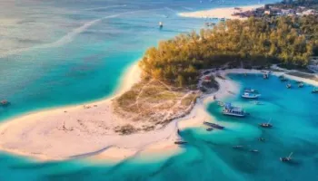 10 Days Mafia Escape Safari Tour