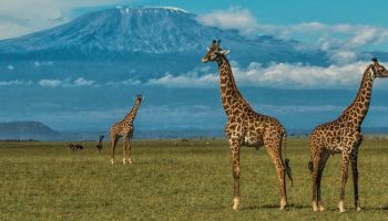 3 Days Amboseli Packages
