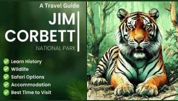 2 Night 3 Day Delhi To Jim Corbett Tour Package