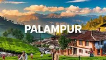 2 Night 3 Day Palampur Tour Package