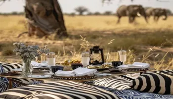 2 Nights 3 Days Nairobi to Maasai Mara Tour Package