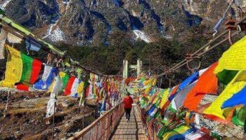 8D Gangtok - Pelling - Darjeeling Tour Package