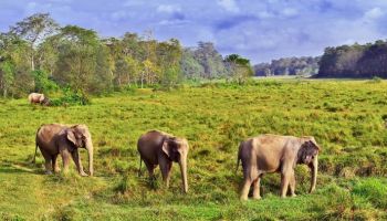 2 Night - 3 Days Kathmandu Tour Package