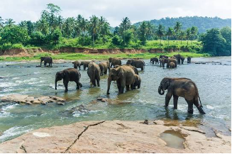 04 Nights - 05 Days Sri Lanka Tour Package
