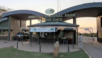 01 Nights 02 Days Amboseli National Park Tour