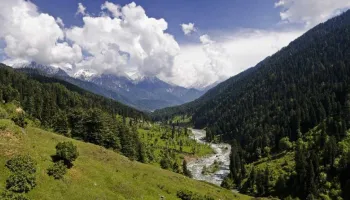 Kashmir Paradise 5 Nights - 6 Days Tour