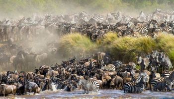 8 Days - 7 Nights Northern Kenya Safari Circuit Tour