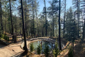 Shimla Package From Chandigarh To Chandigarh 4 Nights 5 Days