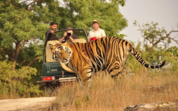 Jim Corbett - Mussoorie - Nainital 5 Night 6 Days Tour