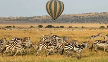 Ngorongoro Crater & Lake Manyara National Park