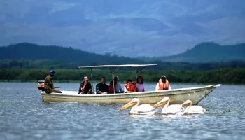 11 Days - 10 Night Kenya And Tanzania Safari Tour