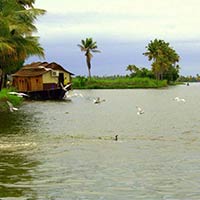 Kerala Monsoon Package July To September