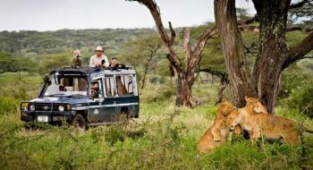 Kenya Lodge & Adventure Safari Tours Package