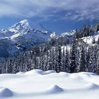 Super Deluxe Five Star Package(Gulmarg)