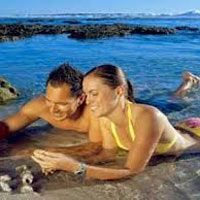 Thrilling North Goa with Casino Carnival Tour