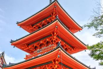 7Nights - Splendors Of Japan Tour