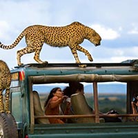 Tanzania Safari Trip Package