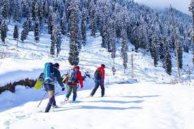 7Day Wildlife - Trek Srinagar - Aru - Tarsar‑Marsar Trek - Pahalgam Tour