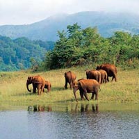 Special Kerala Holiday Package - 3N/4D Tour