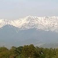 Amritsar - Shimla - Manali - Chandigarh Drop Tour