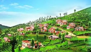 Royal Mysore & Scenic Ooty Tour with Coimbatore
