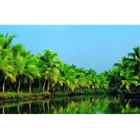 Kerela Tour Package 7N/8D