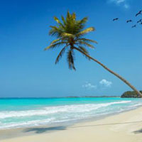 Beach Holiday Package in Andaman