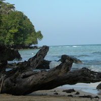 Andaman Budget Family Holiday Package