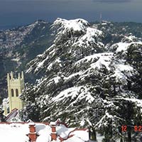 Best of Shimla Tour