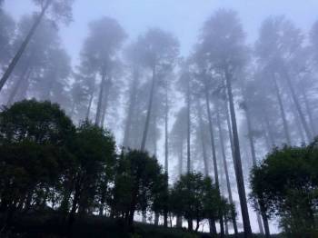 Hills - Ganges Tour Package