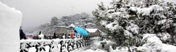 Shimla Package