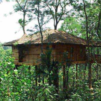 Heritage Kerala Tour with Tree House