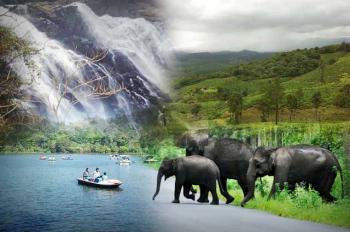 North Kerala Tour Package